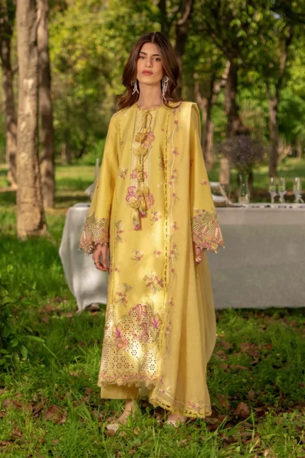 RANG RASIYA LUXURY COLLECTION 2026 ||